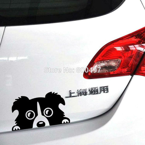 Cute Border Collie Lovely Dog Decal
